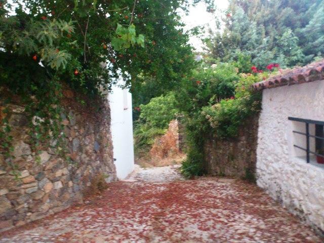 Casa Con Encanto En Alajar Luaran gambar